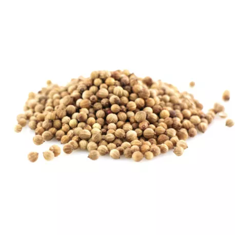 Coriandre BIO - Graines entières