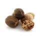 Noix de Muscade BIO - Entières