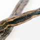 Gousses de Vanille Bourbon de Madagascar BIO - Qualité Noir Gourmet
