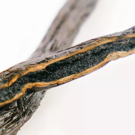 Gousses de Vanille Bourbon de Madagascar BIO - Qualité Noir Gourmet