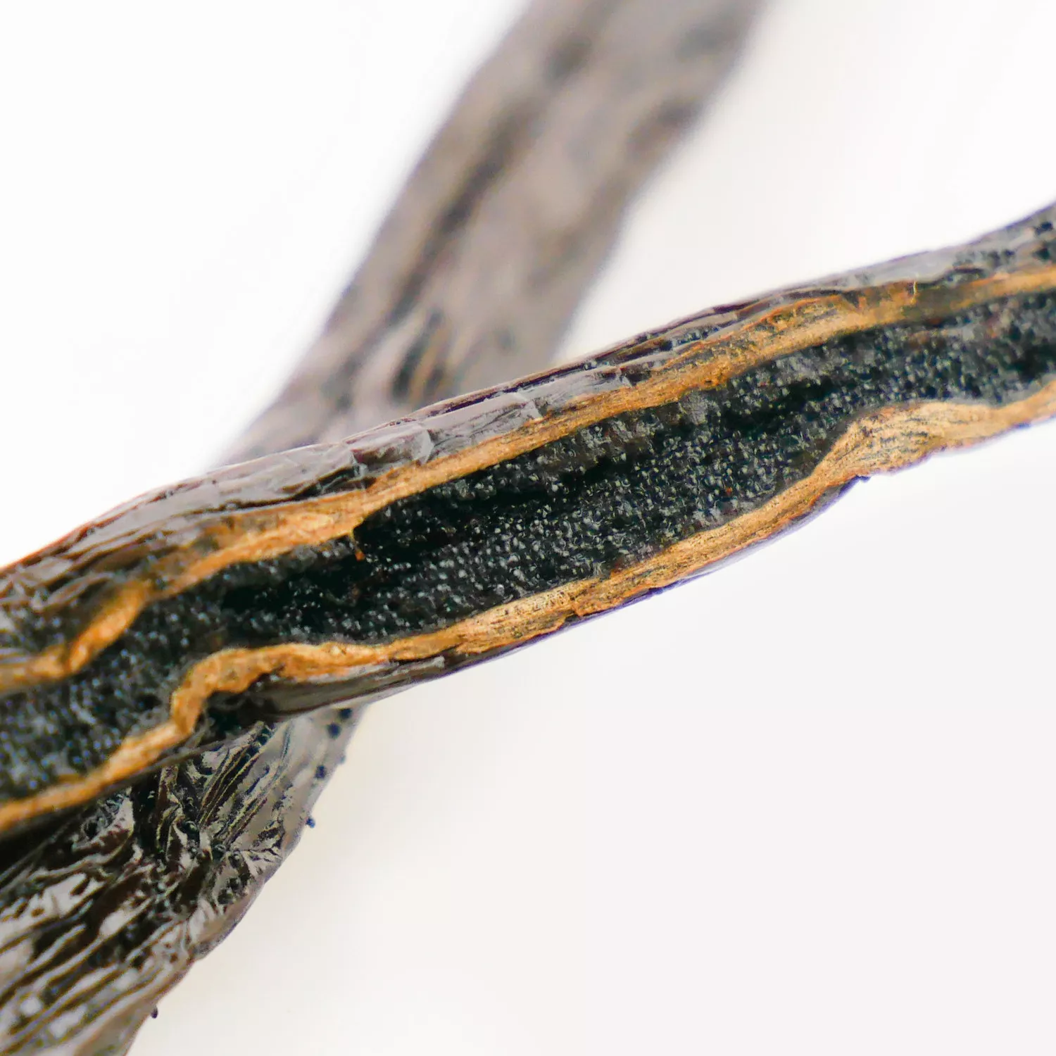 Gousses de Vanille Bourbon de Madagascar BIO - Qualité Noir Gourmet