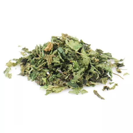 Ortie (Feuilles) BIO - Plante en vrac pour infusion