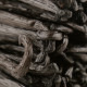 Gousses de Vanille Bourbon de Madagascar BIO - Qualité Noir Gourmet