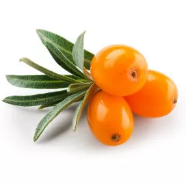 Argousier (pulpe)
