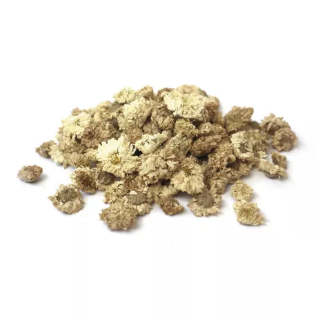 Camomille Romaine BIO - Plante en vrac pour infusion