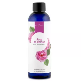 ROSE DE DAMAS