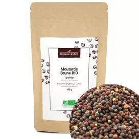 Graines de moutarde brune bio