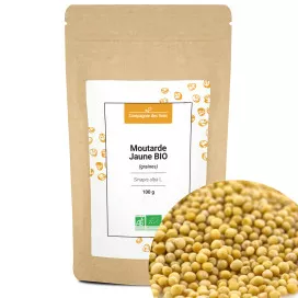 Graines de moutarde jaune bio