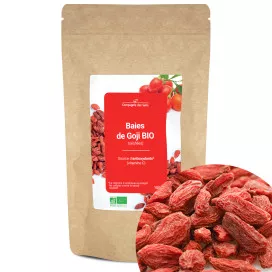 Baies de Goji BIO (séchées)