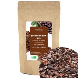 Fèves de cacao bio (concassées, non torréfiées) 