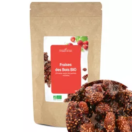 Fraises des bois bio (infusées au jus de pomme, séchées)