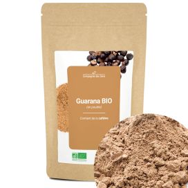 Guarana bio (en poudre) 