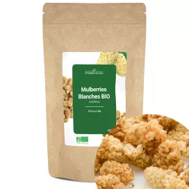Mulberries blanches BIO (séchées)
