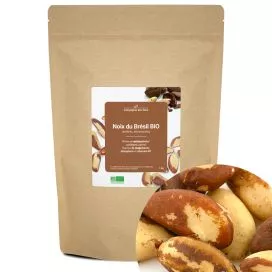 Noix du Brésil BIO (entières, décortiquées)