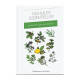 Petit guide des huiles essentielles et végétales