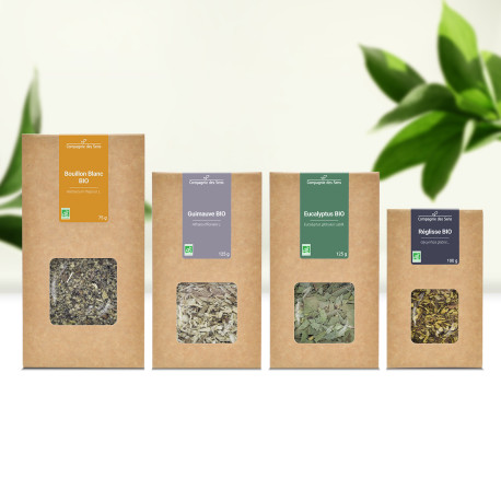 Assortiment Tisanes Respiratoires - Plantes Médicinales BIO