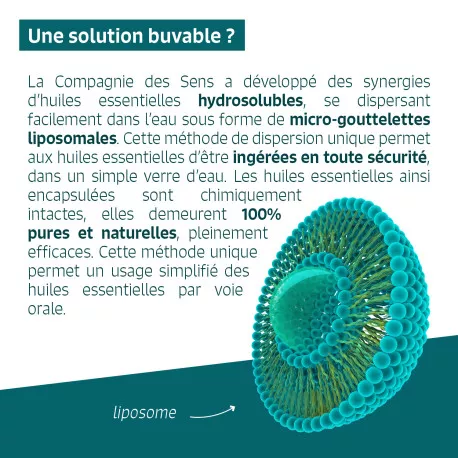 MAL DE MER - Huiles essentielles en solution buvable