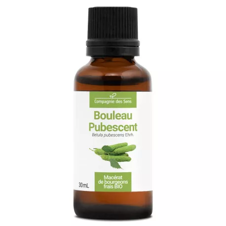 BOULEAU PUBESCENT - Macérat de bourgeons BIO