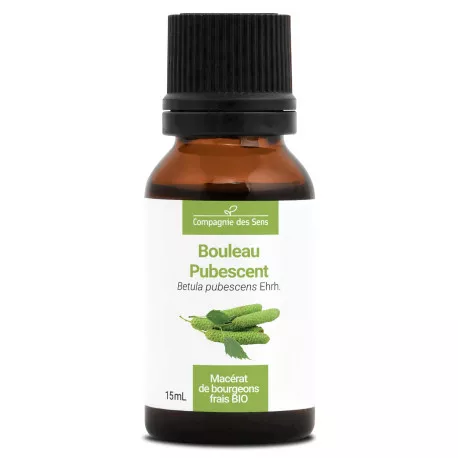 BOULEAU PUBESCENT - Macérat de bourgeons BIO