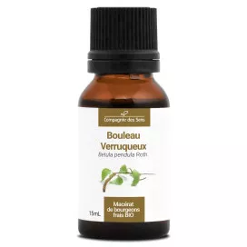 Bouleau verruqueux