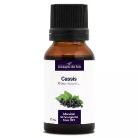 CASSIS