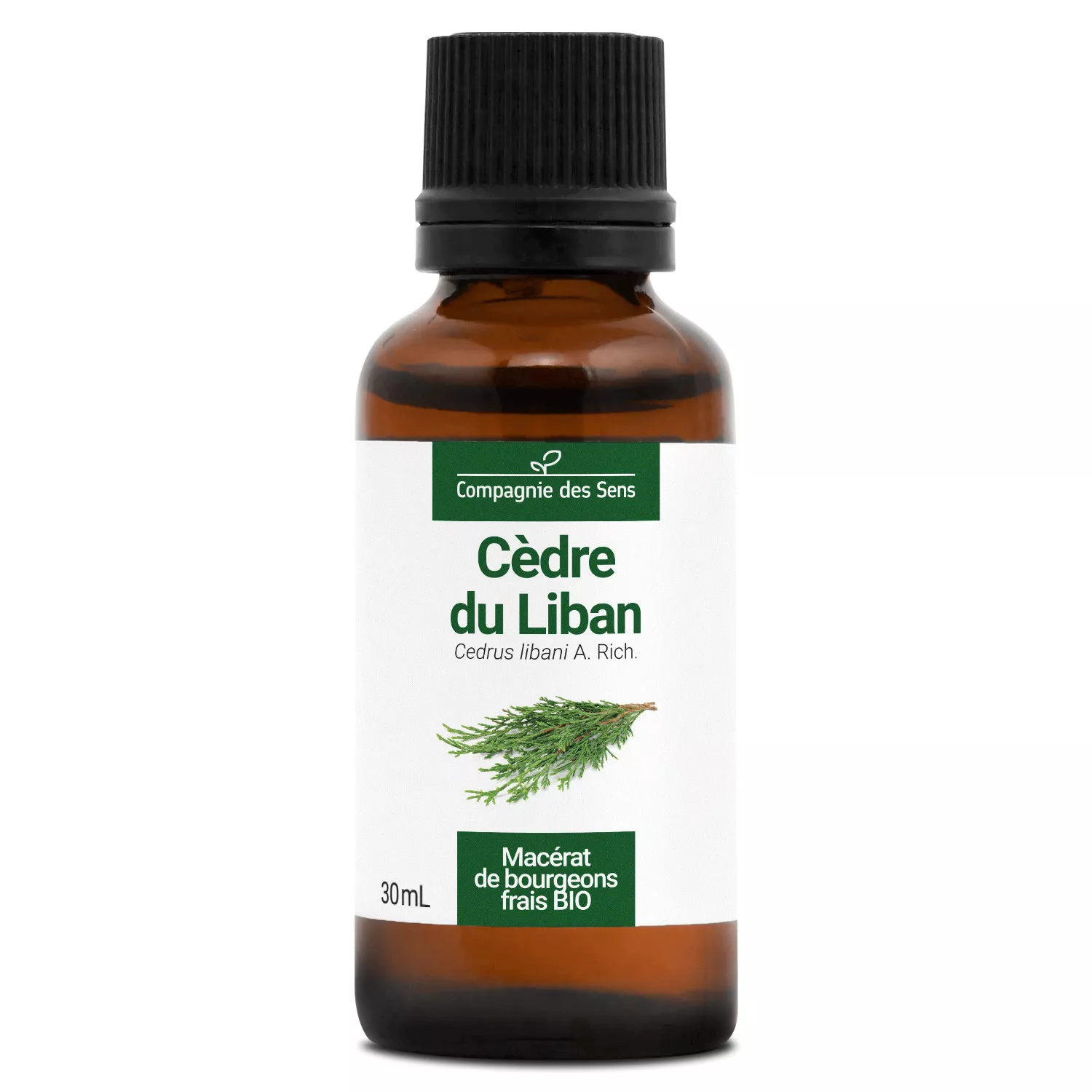 CÈDRE DU LIBAN - Macérat de bourgeons BIO