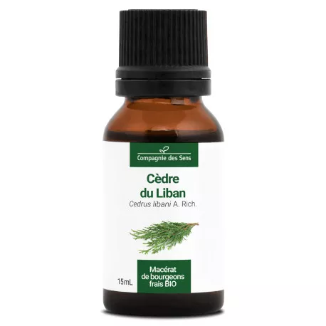 CÈDRE DU LIBAN - Macérat de bourgeons BIO