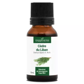 Cèdre du liban