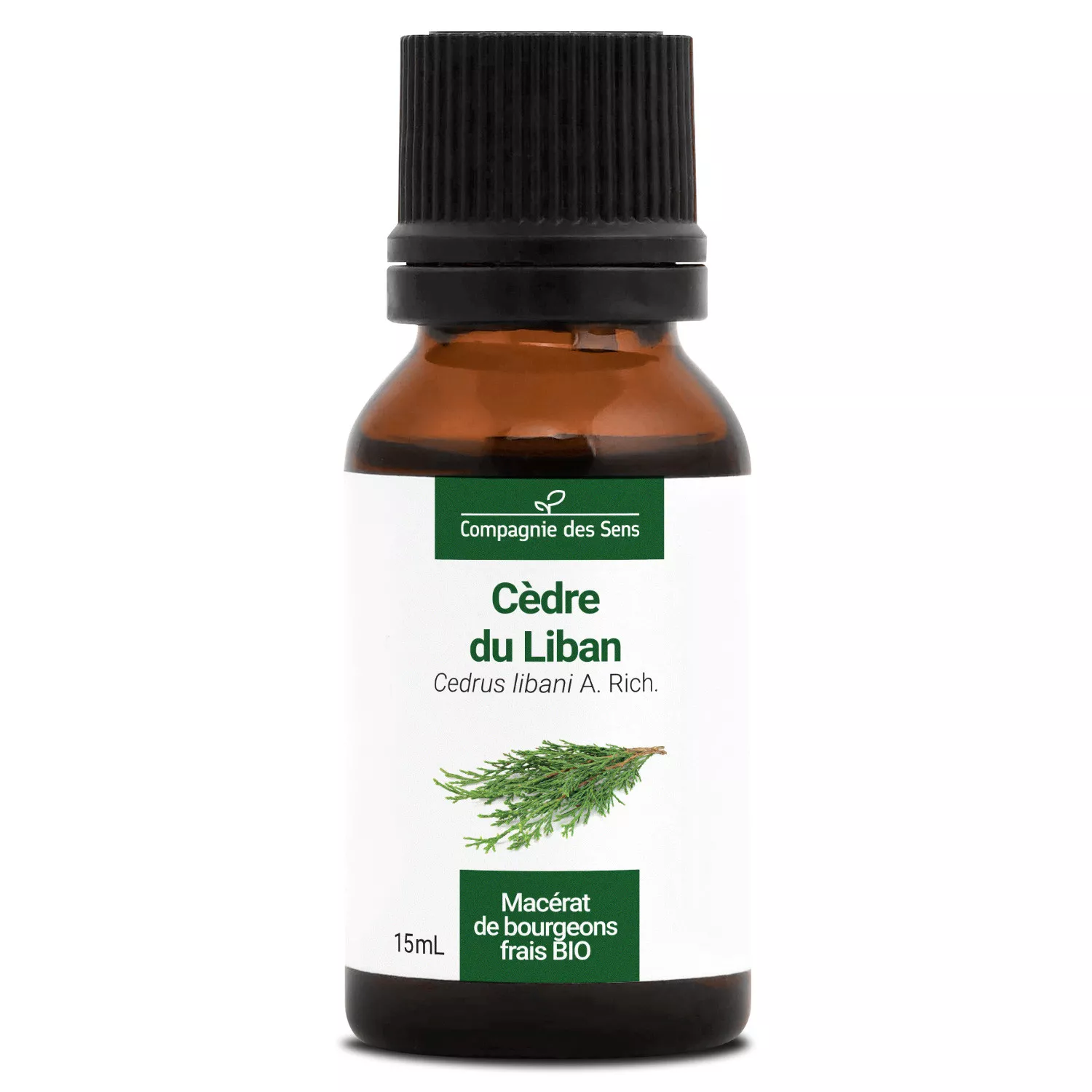 CÈDRE DU LIBAN - Macérat de bourgeons BIO
