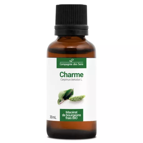 CHARME - Macérat de bourgeons BIO