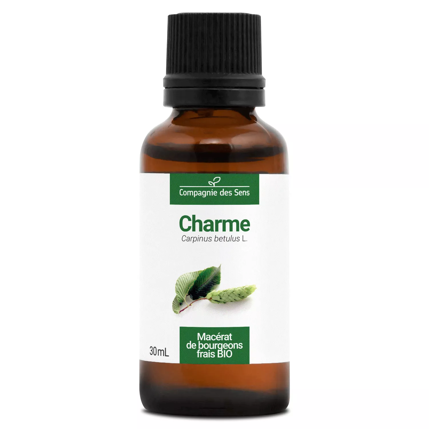 CHARME - Macérat de bourgeons BIO