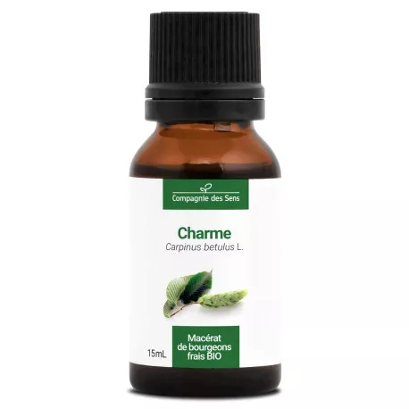 CHARME - Macérat de bourgeons BIO