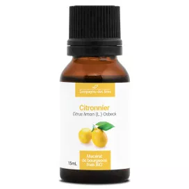Citronnier