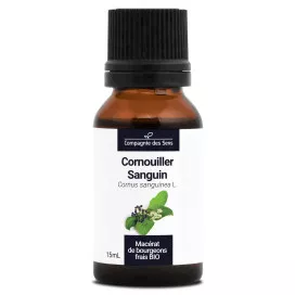 Cornouiller sanguin