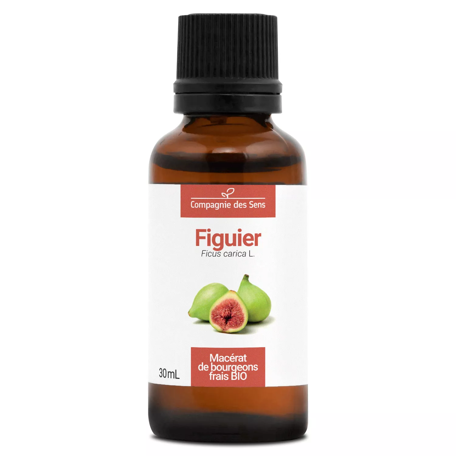 FIGUIER - Macérat de bourgeons BIO