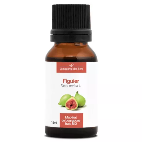 FIGUIER - Macérat de bourgeons BIO