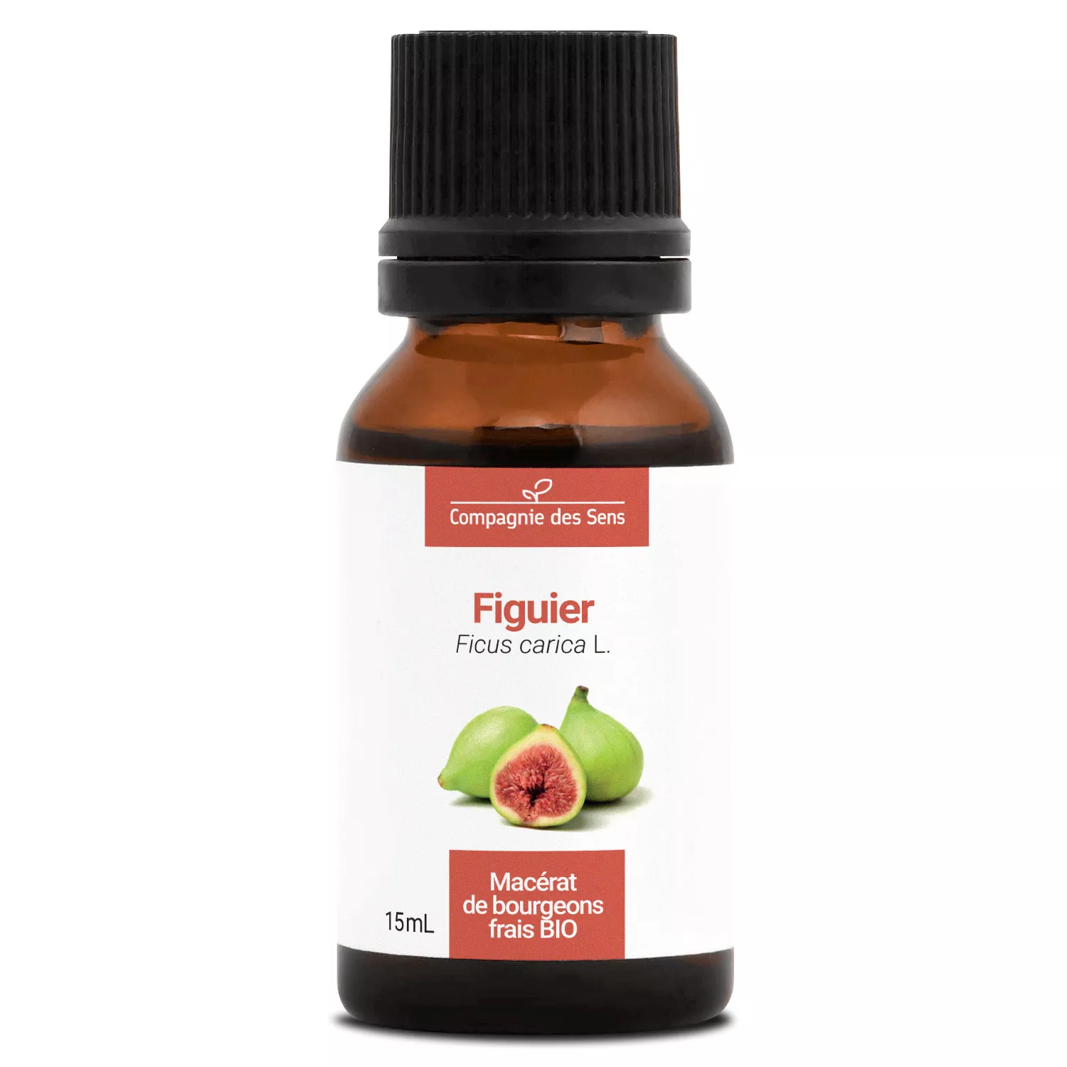 FIGUIER - Macérat de bourgeons BIO