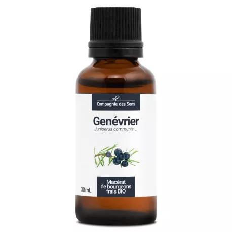 GENÉVRIER - Macérat de bourgeons BIO
