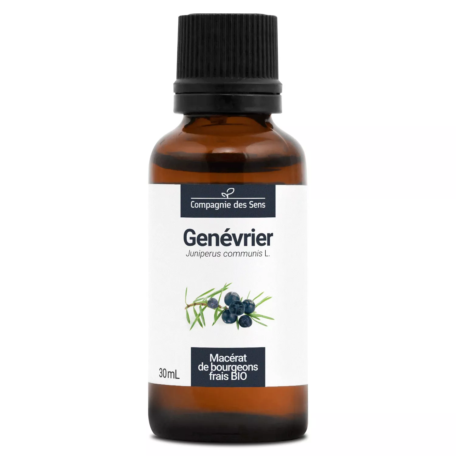 GENÉVRIER - Macérat de bourgeons BIO
