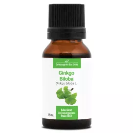 Ginkgo biloba