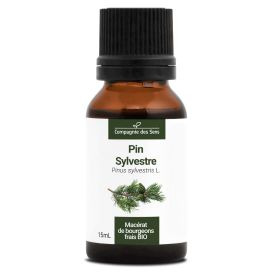 Pin sylvestre 