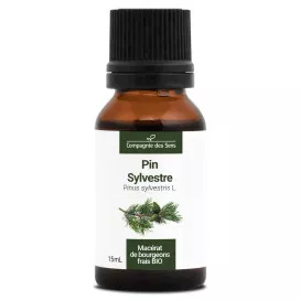 Pin sylvestre