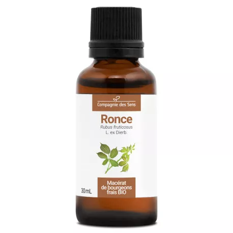 RONCE - Macérat de bourgeons BIO