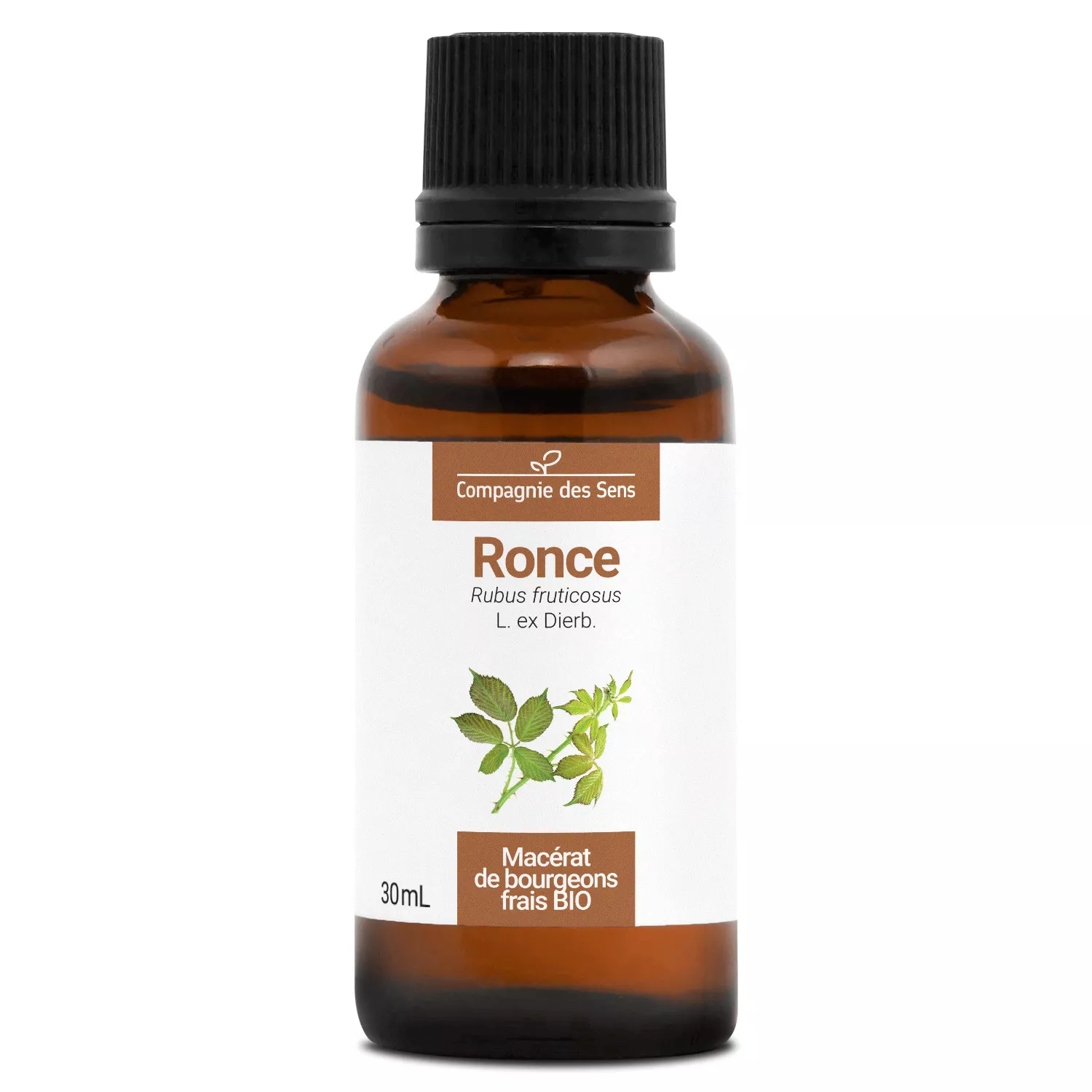 RONCE - Macérat de bourgeons BIO
