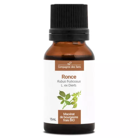 RONCE - Macérat de bourgeons BIO