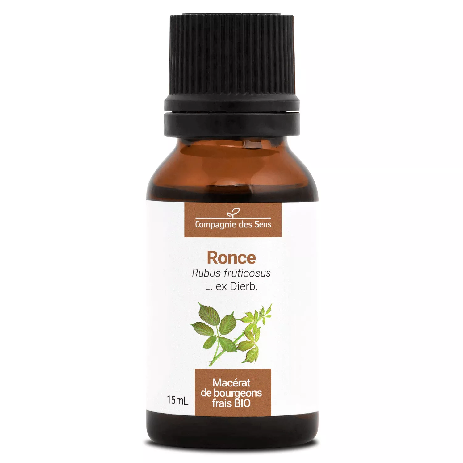 RONCE - Macérat de bourgeons BIO