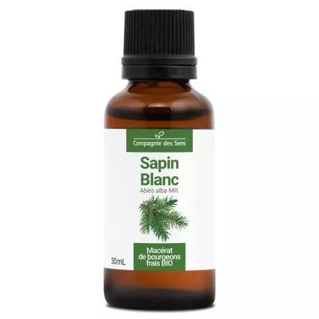 SAPIN BLANC - Macérat de bourgeons BIO