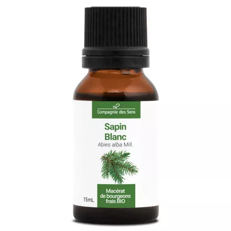 SAPIN BLANC - Macérat de bourgeons BIO