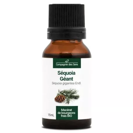 SÉQUOIA GÉANT - Macérat de bourgeons BIO