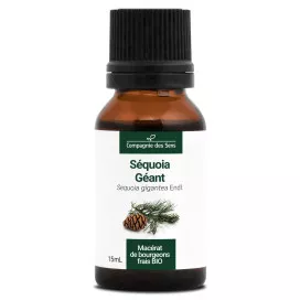 Séquoia géant